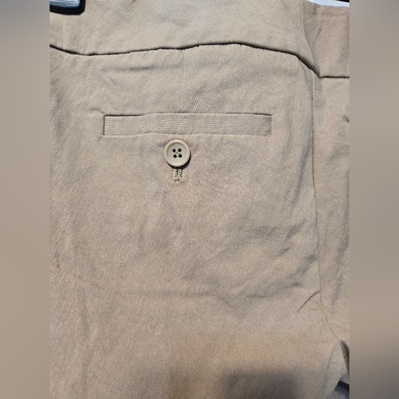 THE LIMITED Exact Stretch Capri pants - Picture 7 of 7